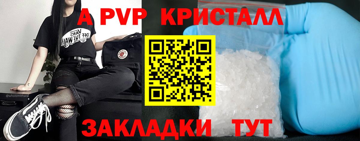 Альфа ПВП СК Великий Устюг