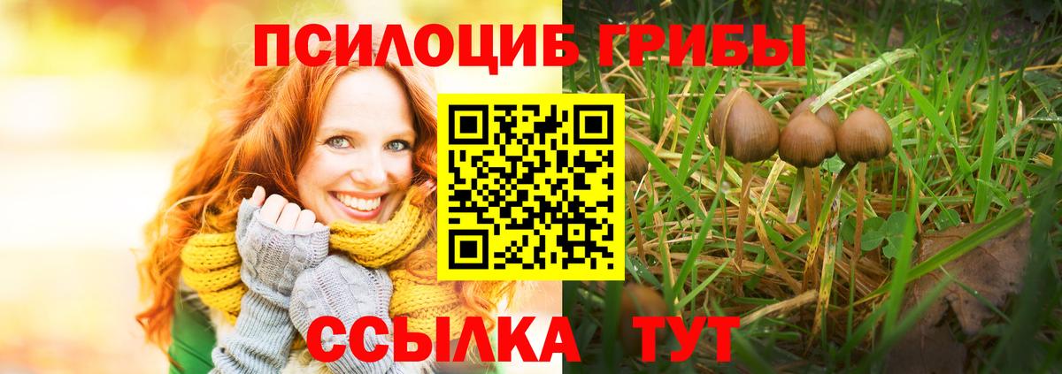 Псилоцибиновые грибы Cubensis  Вход с VPN  Великий Устюг 